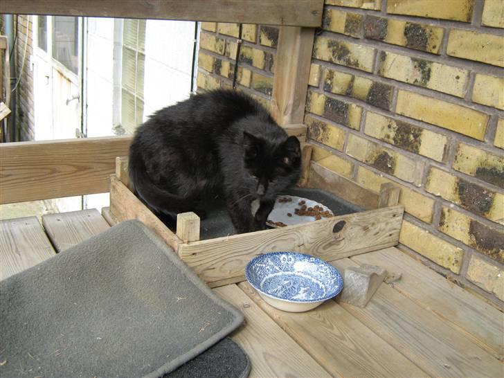 Blanding af racer silke billede 2