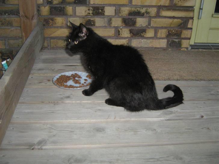 Blanding af racer silke - hvad var det?!? billede 14