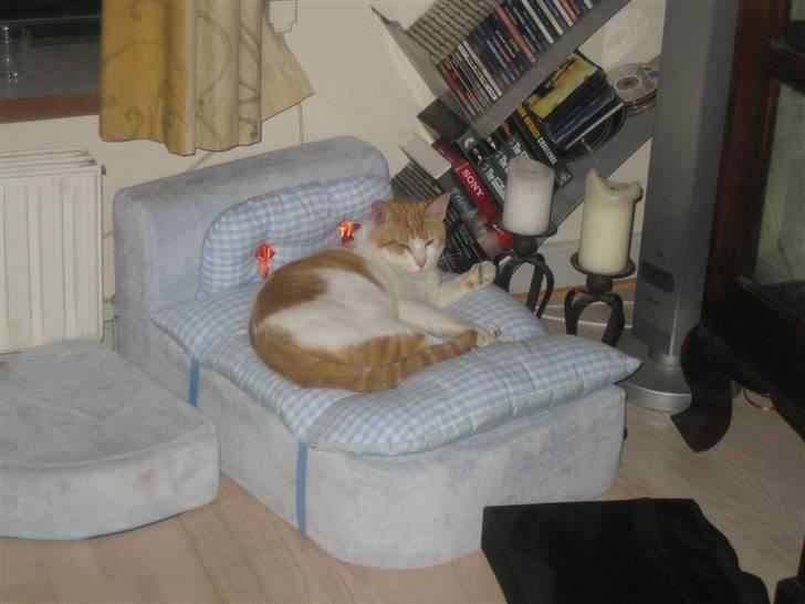 Huskat Store Solgt billede 8