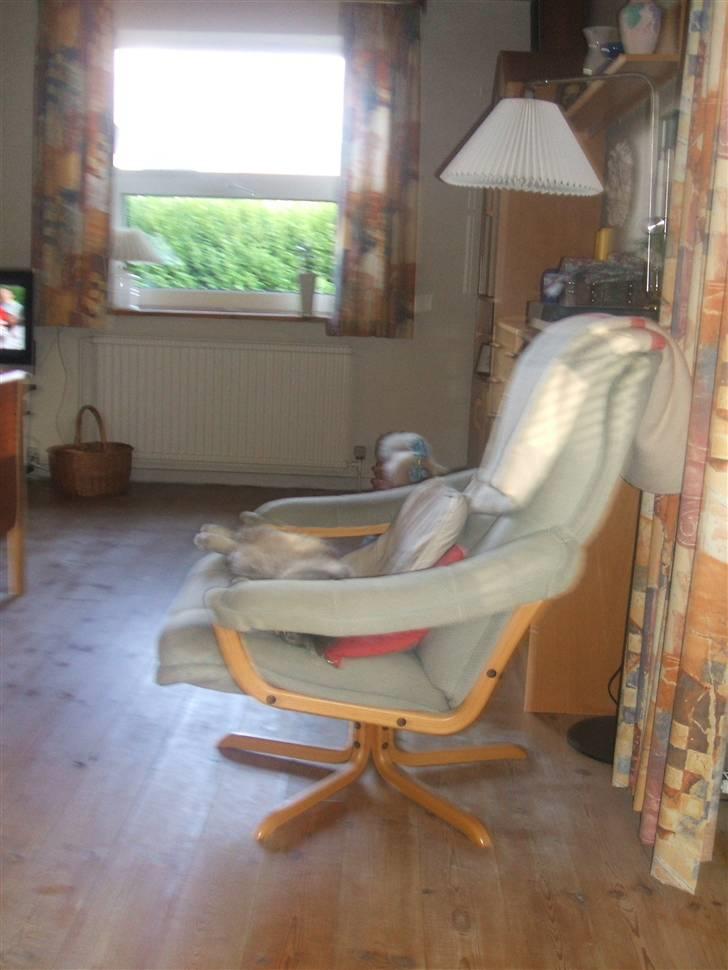 Huskat Fede Frida fra Fyn billede 5