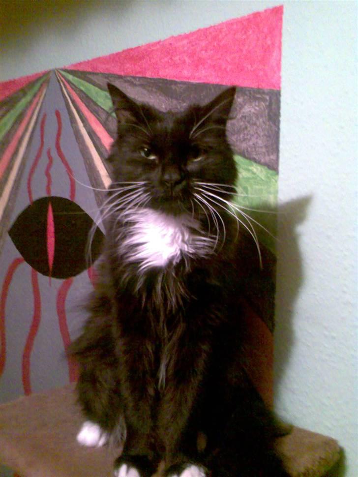 Huskat Stich billede 1