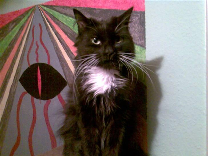 Huskat Stich billede 2