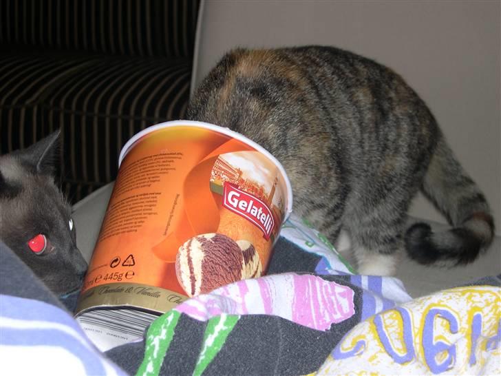 Huskat belle - hvad er det... det smager godt billede 10