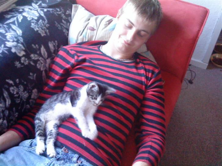 Huskat Eddie billede 3