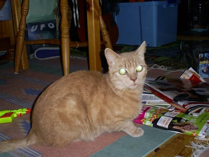 Huskat Miver..... R.I.P! billede 2