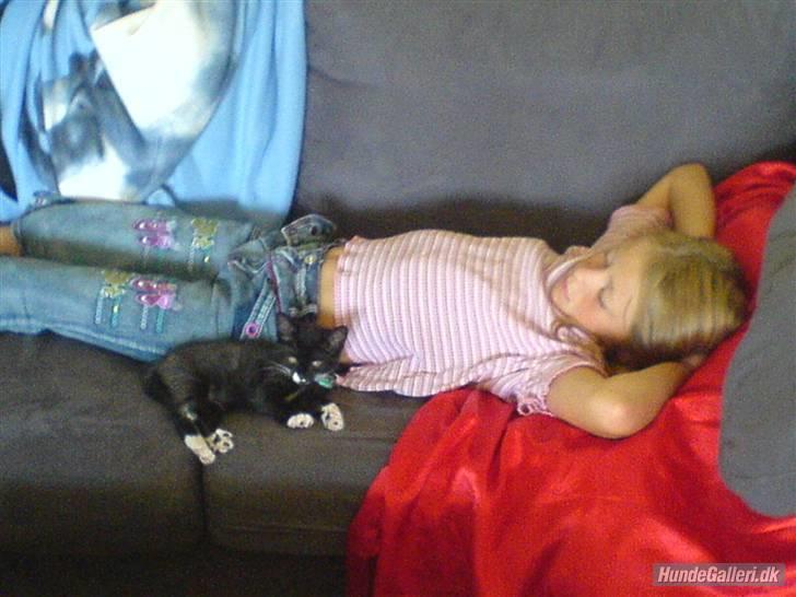 Blanding af racer isabella | d, 3/2-2008 - mig og isabella da hun var 0år billede 8