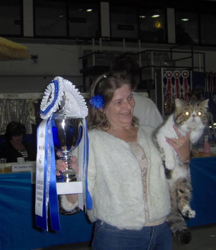 Exotic G.I.C. Tango - Timmendorf 12 juli BOB 3. plads billede 14