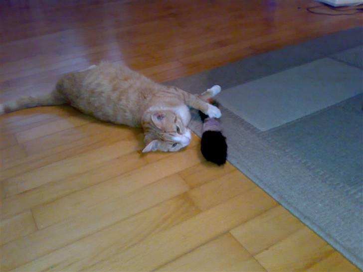 Huskat lost - lidt leg men kun lidt billede 3