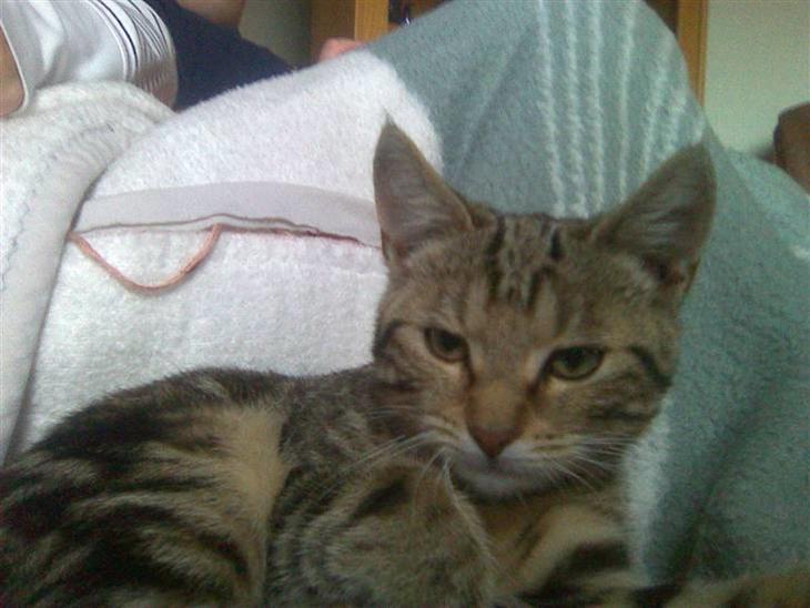 {{currentPhoto.altText}} billede {{currentPhoto.number}}