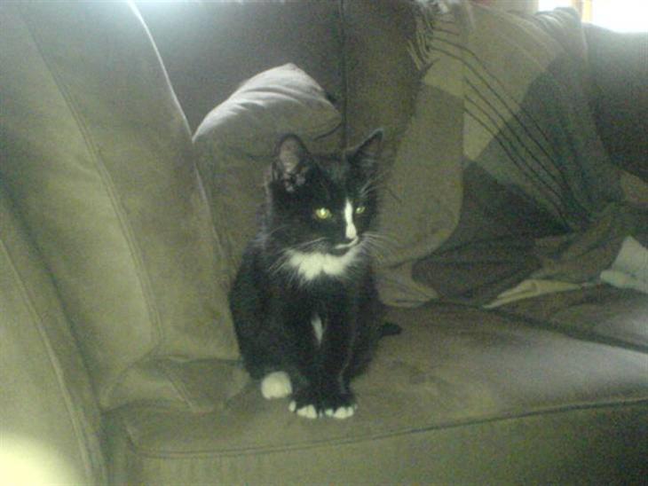 {{currentPhoto.altText}} billede {{currentPhoto.number}}