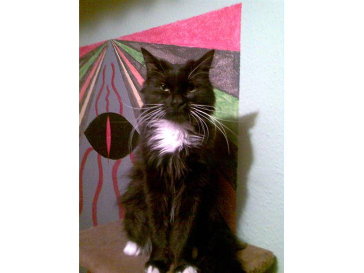 {{currentPhoto.altText}} billede {{currentPhoto.number}}