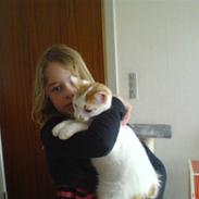 Blanding af racer Mickey (Død)