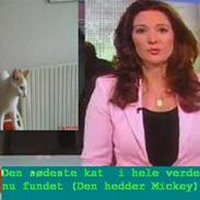 Blanding af racer Mickey (Død)