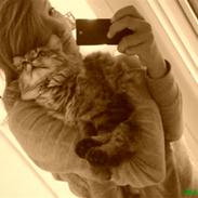 Blanding af racer Katja Kaj