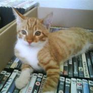 Blanding af racer * Bobby*