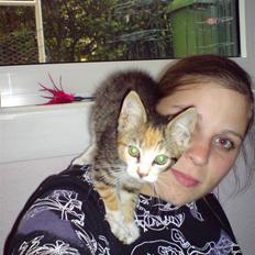 Blanding af racer Mobi *har fået nyt hjem*