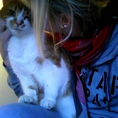 Blanding af racer Mikkel