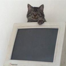 Blanding af racer Laban (R.I.P.)