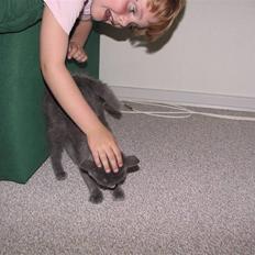 Blanding af racer Nell