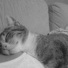 Huskat Tumle (RIP t 2008)