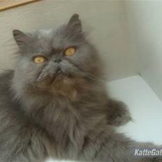 Perser Samson R.I.P 19/5-2010