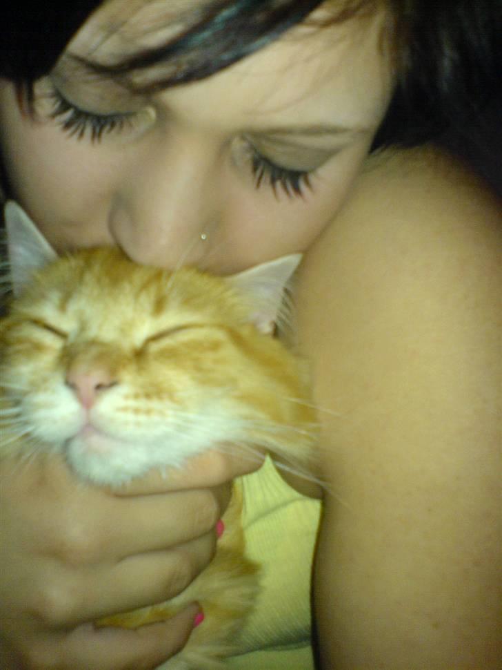 Blanding af racer Cherie *RIP* billede 8