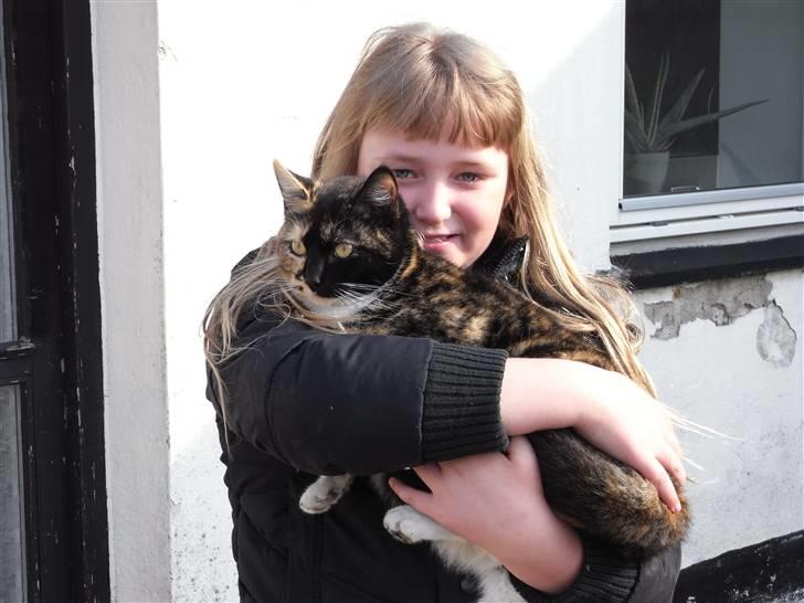 Blanding af racer Caramella  billede 12