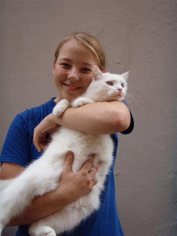 Huskat Mille - nåh.. c("-´ billede 7