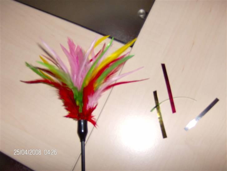 Blanding af racer bella - VIGTIGT HVIS I HAR SÅDAN EN SKAL I KLIPPE DE SKINDENDE TING AF. DE KAN GIVE KATTEN BYLDER I MUNDEN. billede 13