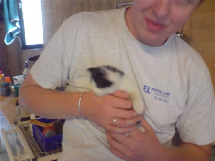 Blanding af racer Bjarne billede 6