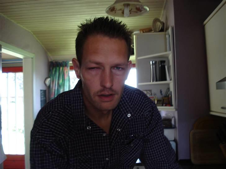 Blanding af racer mille - min mand havde lige ansigtet for langt fremme, da Mille var i legehumør billede 8