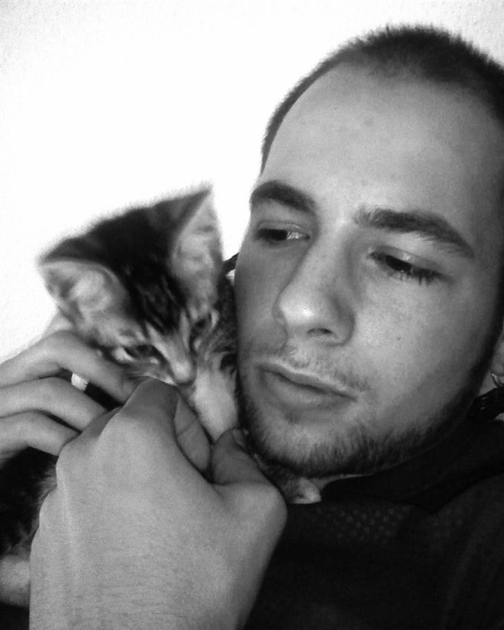 Huskat Mummu - min dejlige kæreste og tigermissen billede 14