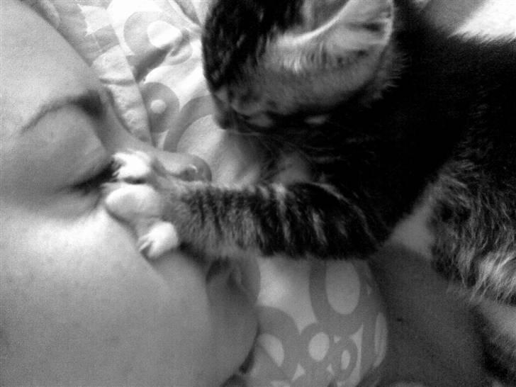 Huskat Mummu - morgen soveri billede 15