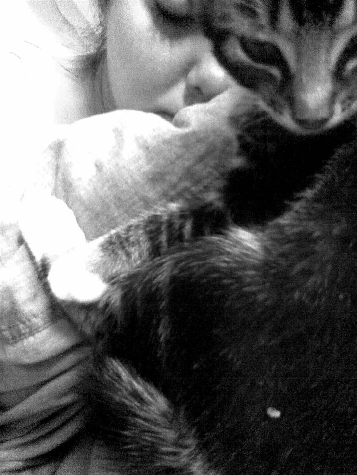 Huskat Mummu billede 16