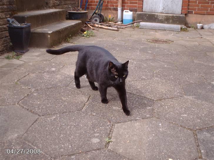 Huskat tot billede 11