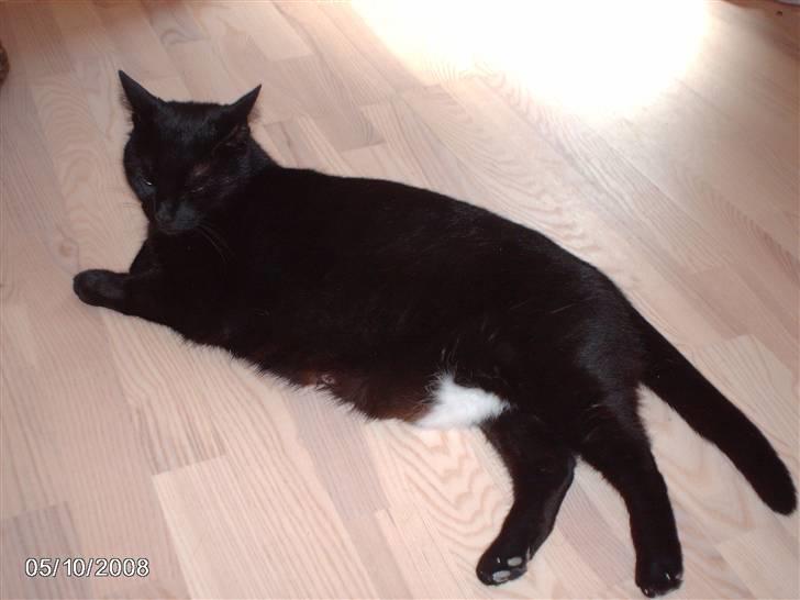 Huskat tot billede 12