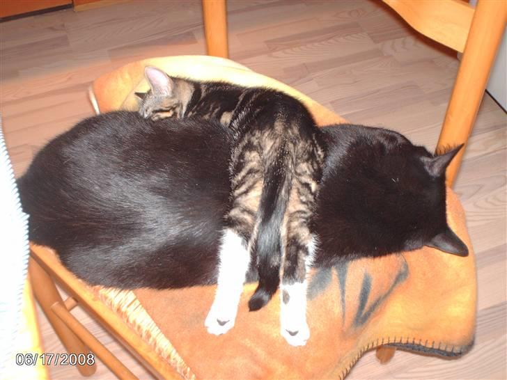 Huskat tot billede 14