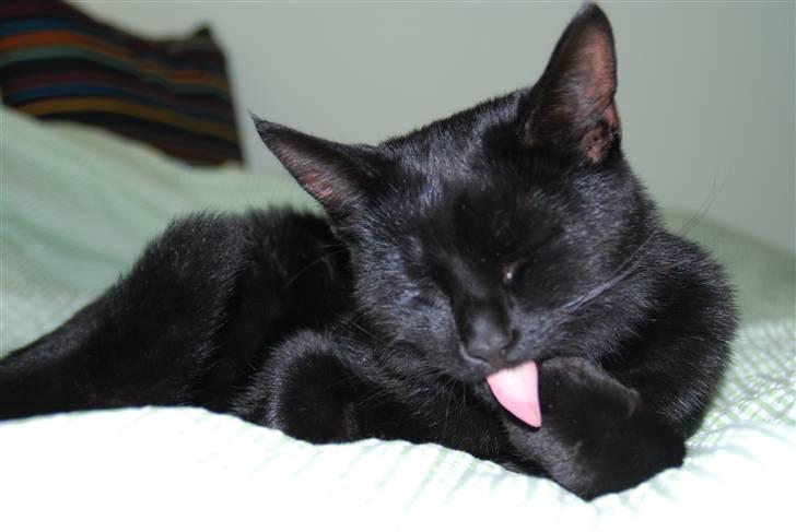 Huskat Sandi - Sandi <3 <3  billede 2