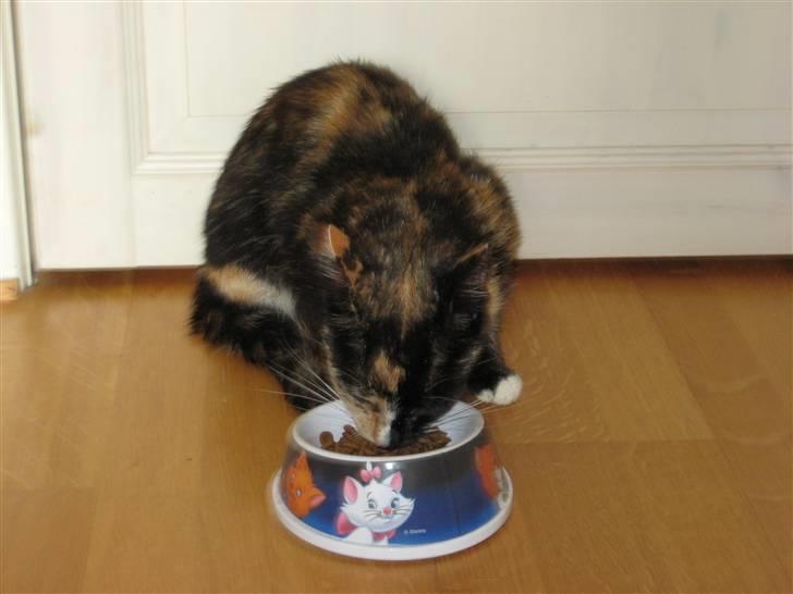 Blanding af racer Sjide <3 ;D billede 20