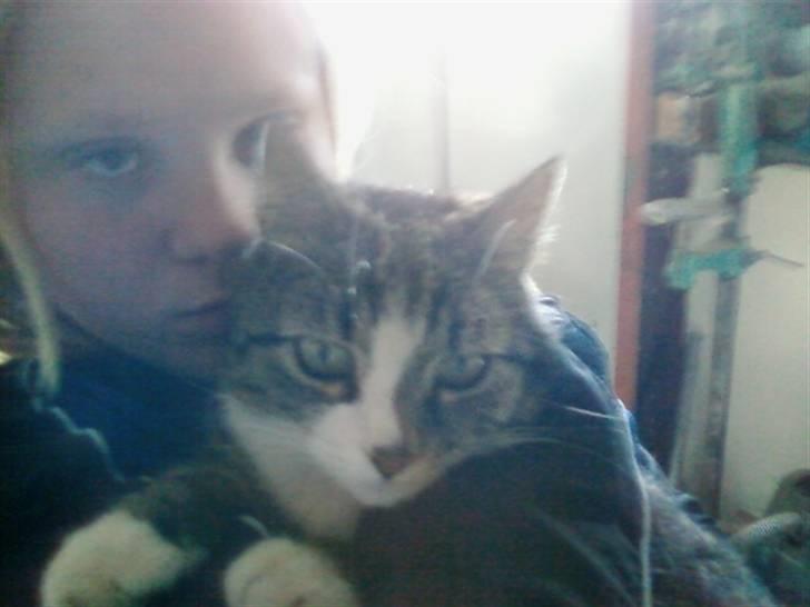 Huskat Æsel - Tyt eldker Miss Sexy(: billede 15