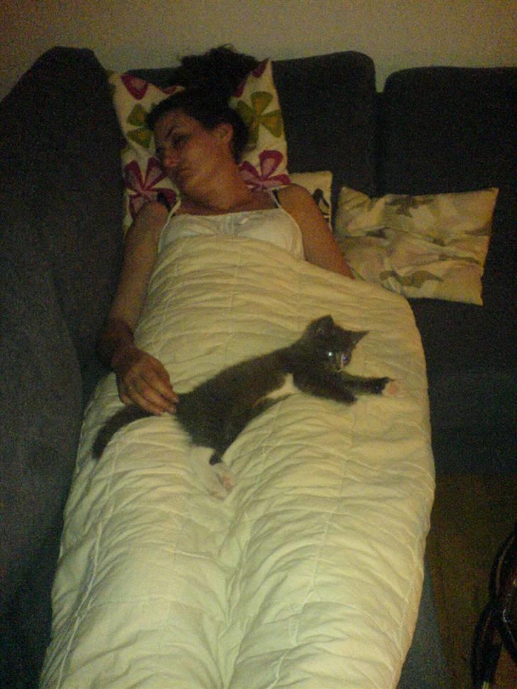 Huskat Pjevs - tager en lille lur sammen billede 7