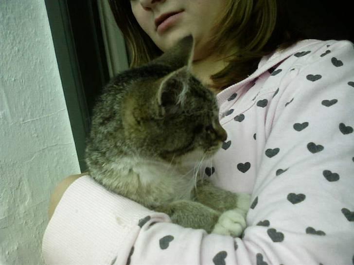 Huskat Zoey - Også taget første dag jeg fandt hende(min kusine holder hende) billede 10