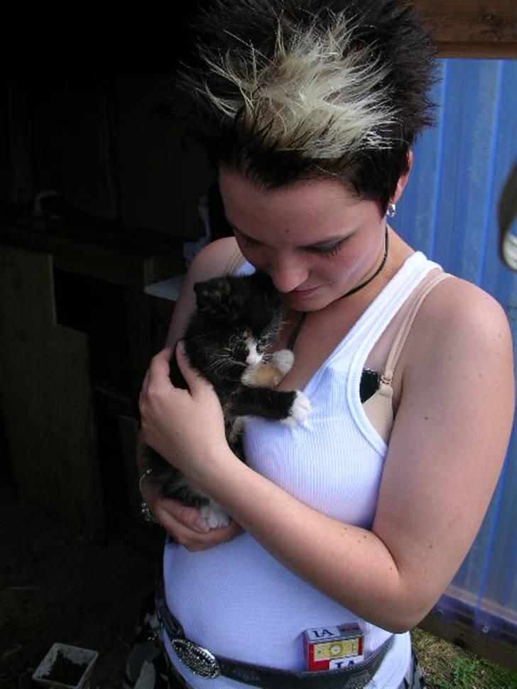 Huskat Sahara - Hva sker der. 7uger gammel. billede 12