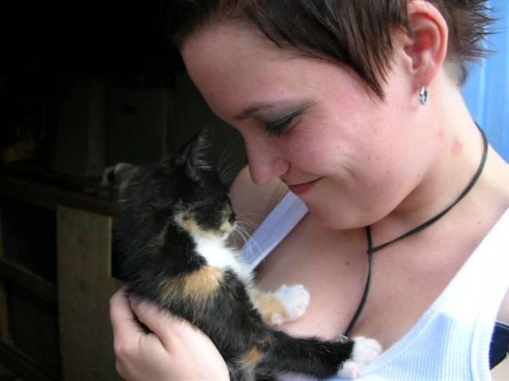 Huskat Sahara - Hej mor. 7 uger gammel. billede 13