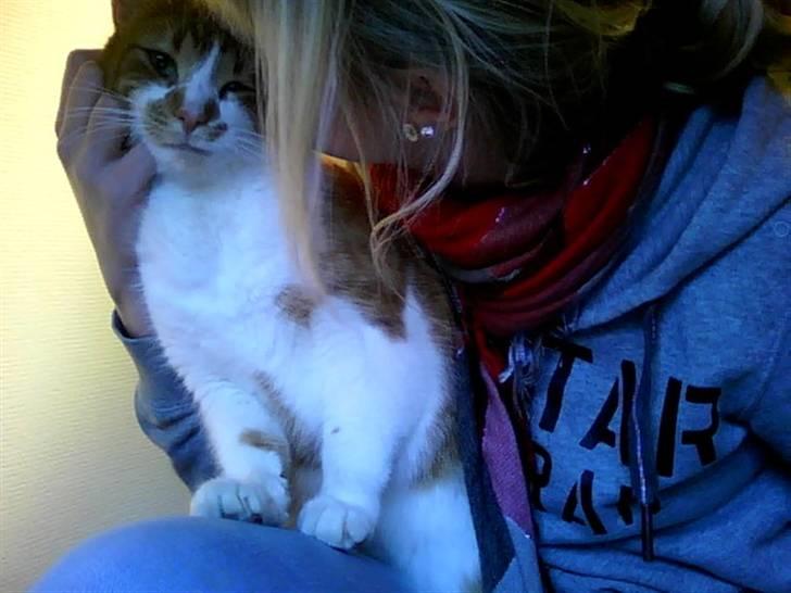 Blanding af racer Mikkel - Mikkel i fars lænestol ;D billede 1