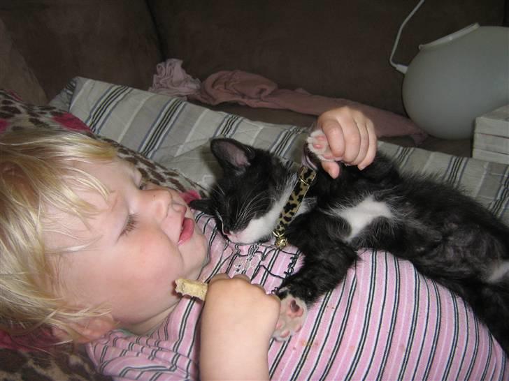 Huskat Pjuske billede 7