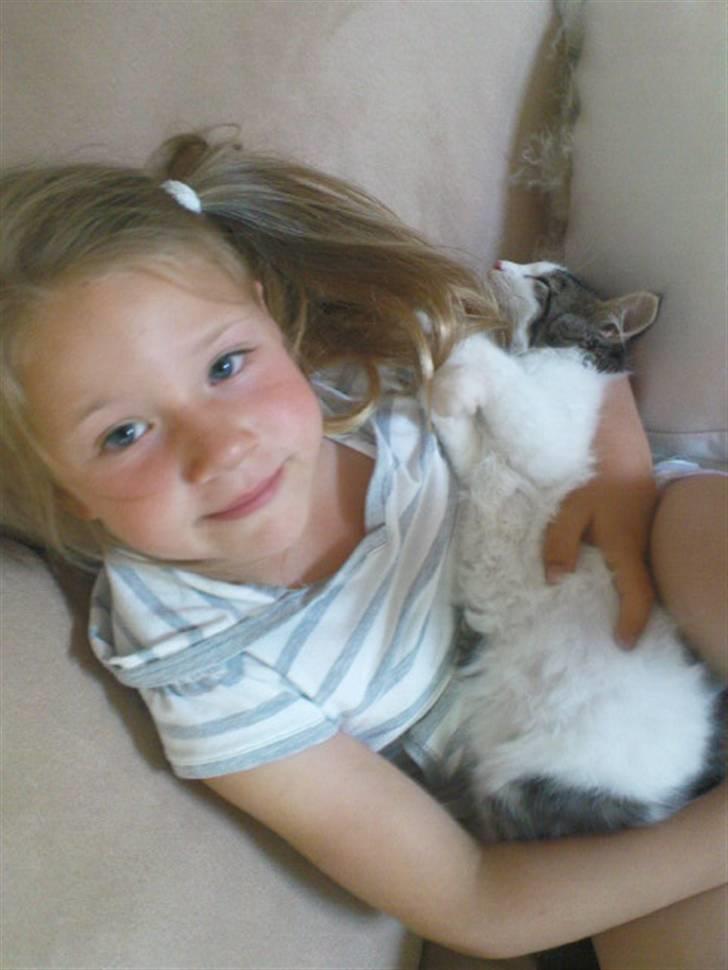 Blanding af racer Simba - Væk siden 25/5-10 - Og jeg elsker at putte i hendes arme! billede 16