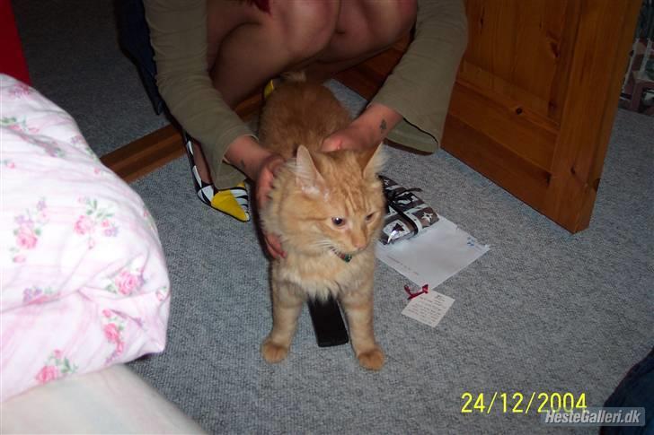 Blanding af racer Mid Mid billede 3