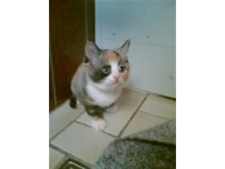 {{currentPhoto.altText}} billede {{currentPhoto.number}}