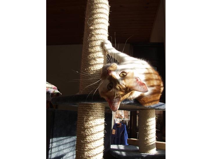 {{currentPhoto.altText}} billede {{currentPhoto.number}}